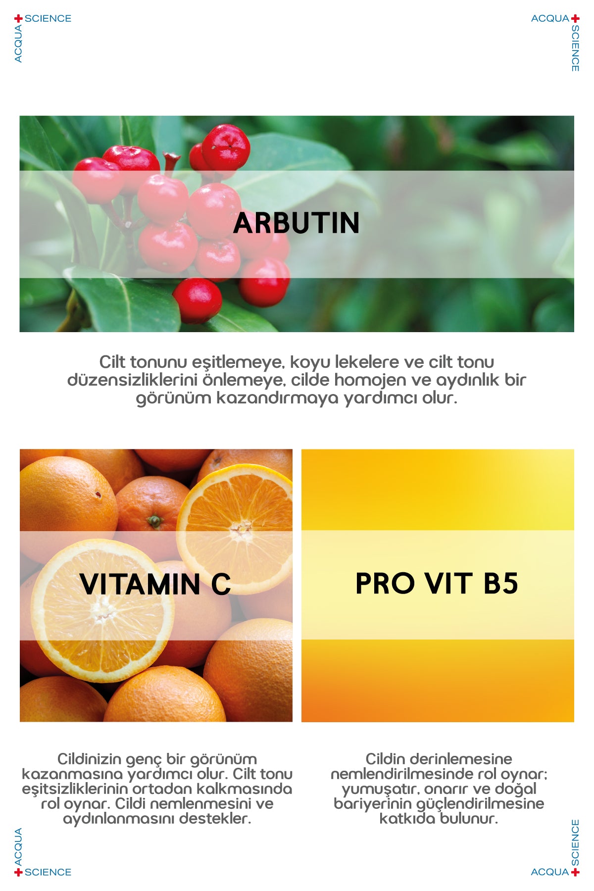 Aydınlatıcı ve Renk Tonu Eşitleyici C Vitamini Serum 30 ml
